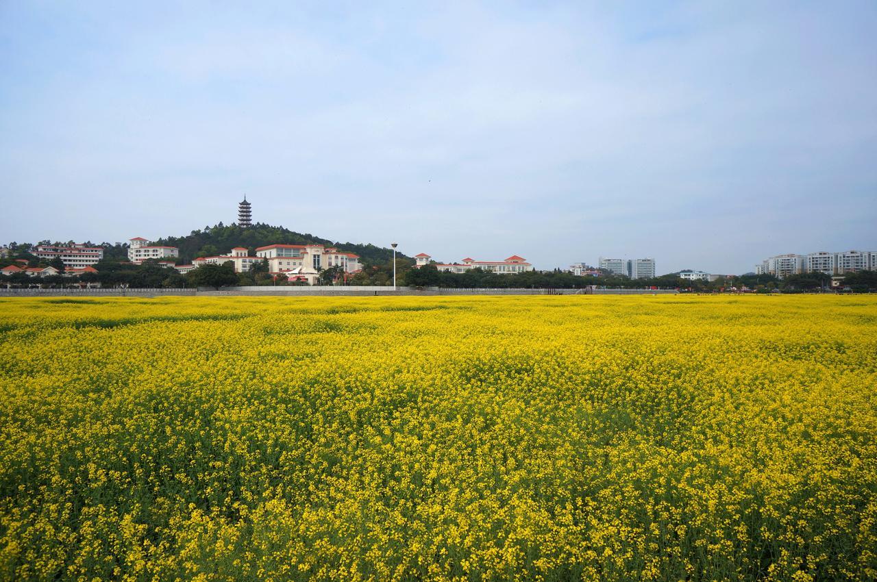 Dongguan Goodview Hotel Sangem Qiaotou Zewnętrze zdjęcie